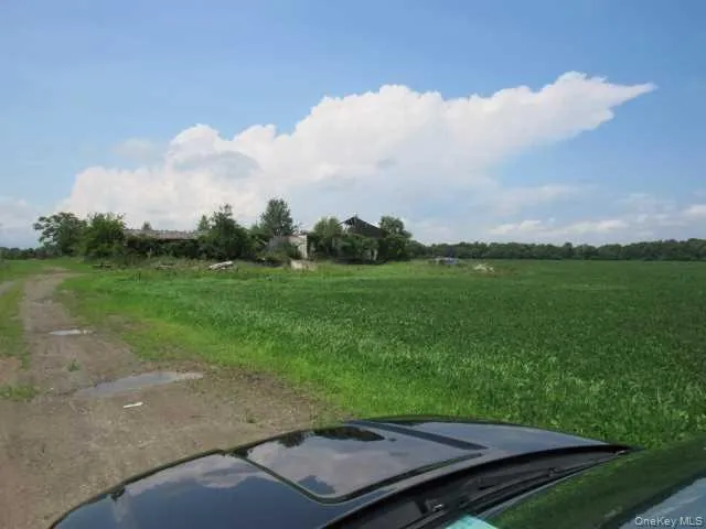 COUNTY ROAD 19, Livingston, NY, ,Land,For Rent,COUNTY ROAD 19,0,M373078 COUNTY ROAD 19, Livingston, NY, ,Land,For Rent,COUNTY ROAD 19,0,M373078