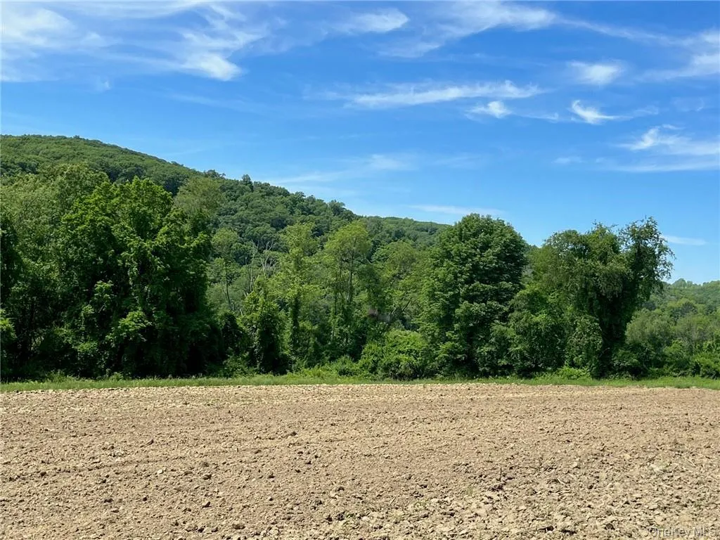 PERRYS CORNERS Road, Amenia, NY, ,Land,For Rent,PERRYS CORNERS,0,M419993 PERRYS CORNERS Road, Amenia, NY, ,Land,For Rent,PERRYS CORNERS,0,M419993