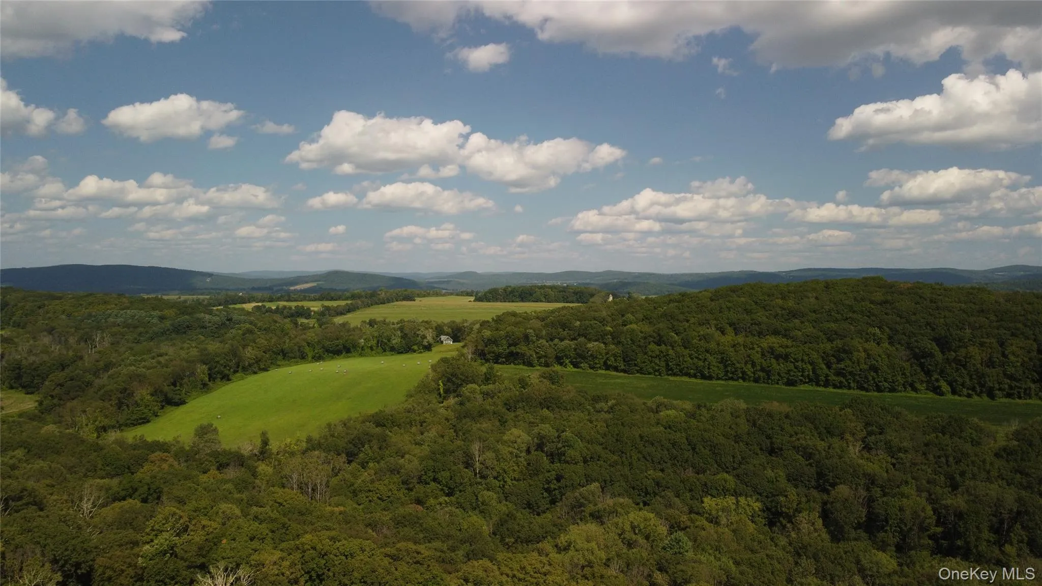 Mountain view featuring a forest Mountain view featuring a forest