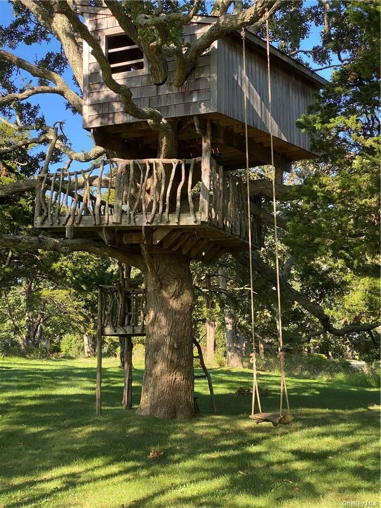 Tree House Tree House