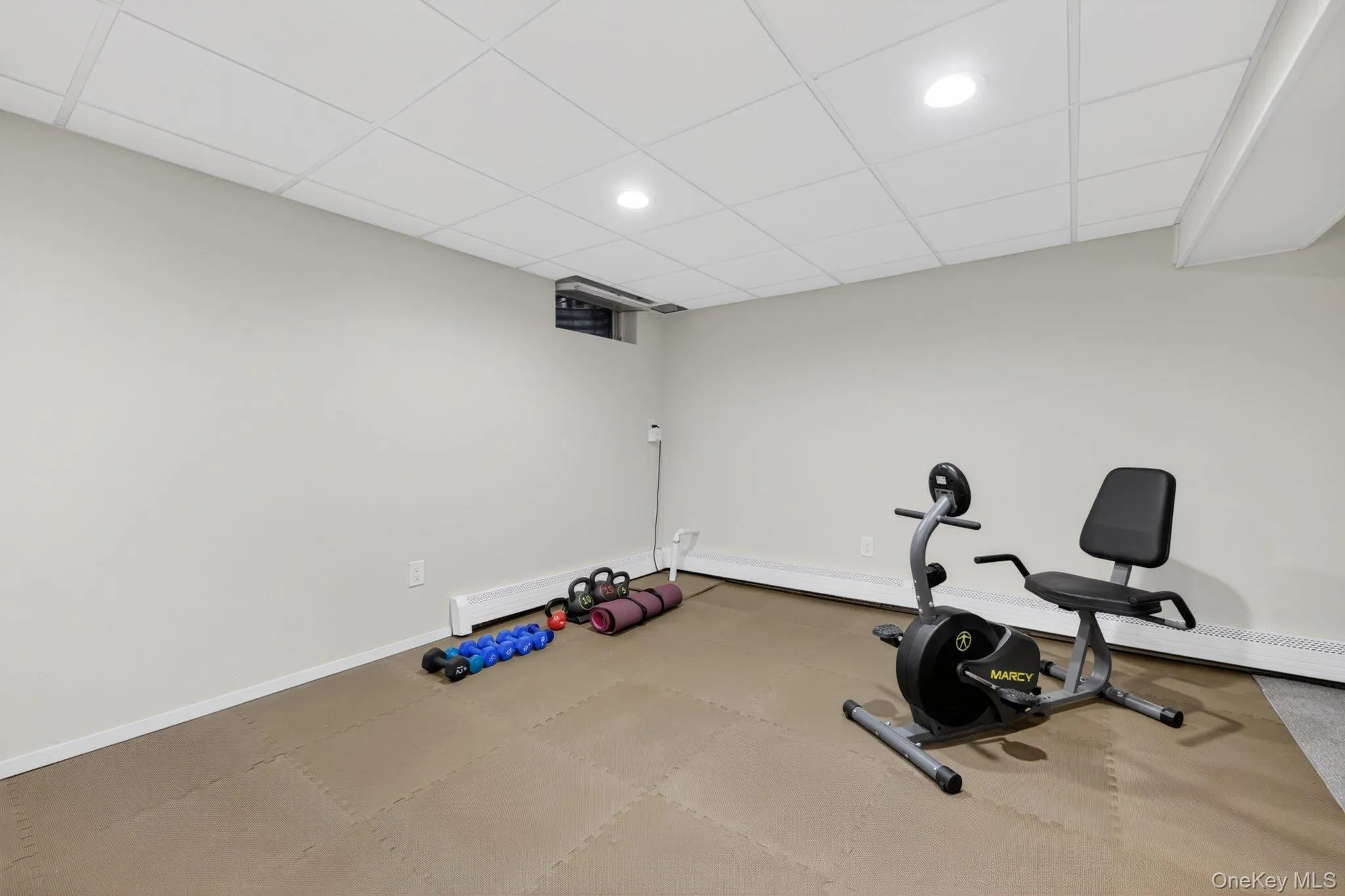 Padded workout area in lower level. Padded workout area in lower level.