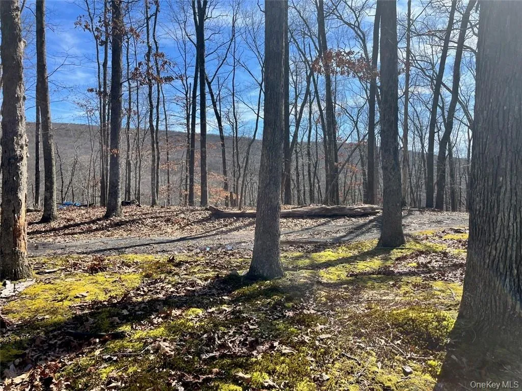 2215 Greenville Turnpike, Deerpark, NY, 2 Bedrooms Bedrooms, 10 Rooms Rooms,3 BathroomsBathrooms,Residential,For Rent,Greenville,0,H6293486 2215 Greenville Turnpike, Deerpark, NY, 2 Bedrooms Bedrooms, 10 Rooms Rooms,3 BathroomsBathrooms,Residential,For Rent,Greenville,0,H6293486