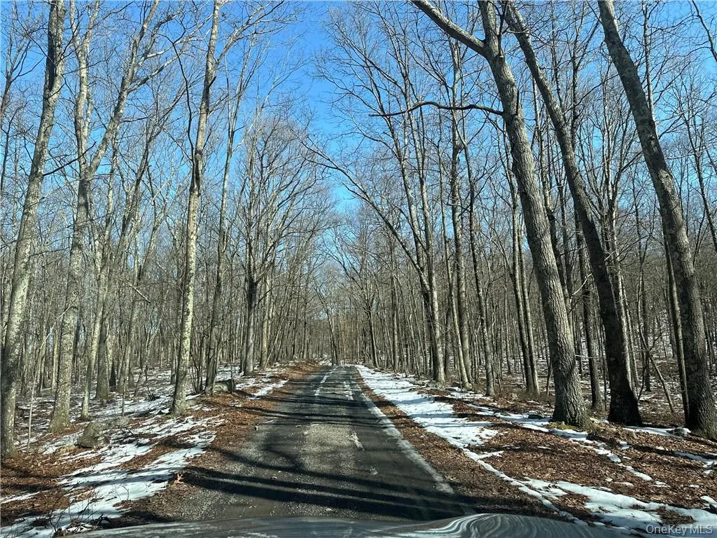 2215 Greenville Turnpike, Deerpark, NY, 2 Bedrooms Bedrooms, 10 Rooms Rooms,3 BathroomsBathrooms,Residential,For Rent,Greenville,0,H6293486 2215 Greenville Turnpike, Deerpark, NY, 2 Bedrooms Bedrooms, 10 Rooms Rooms,3 BathroomsBathrooms,Residential,For Rent,Greenville,0,H6293486