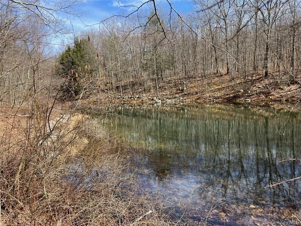 2215 Greenville Turnpike, Deerpark, NY, 2 Bedrooms Bedrooms, 10 Rooms Rooms,3 BathroomsBathrooms,Residential,For Rent,Greenville,0,H6293486 2215 Greenville Turnpike, Deerpark, NY, 2 Bedrooms Bedrooms, 10 Rooms Rooms,3 BathroomsBathrooms,Residential,For Rent,Greenville,0,H6293486