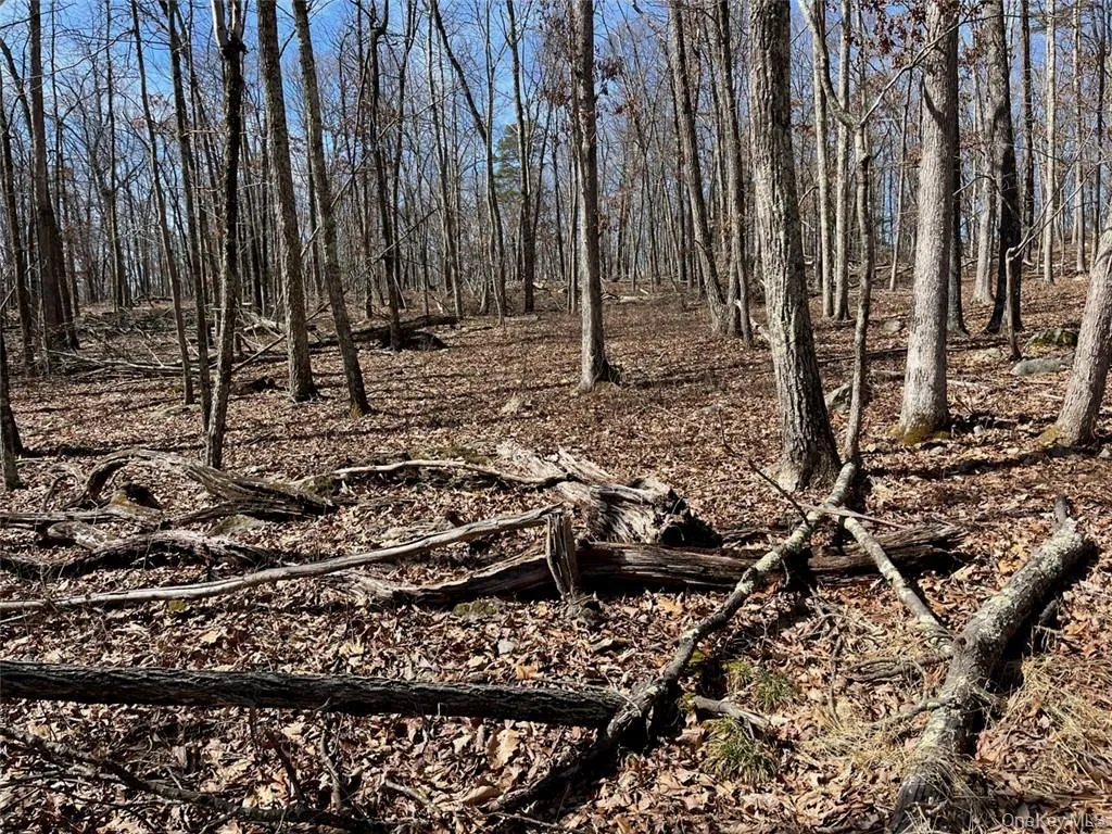 2215 Greenville Turnpike, Deerpark, NY, 2 Bedrooms Bedrooms, 10 Rooms Rooms,3 BathroomsBathrooms,Residential,For Rent,Greenville,0,H6293486 2215 Greenville Turnpike, Deerpark, NY, 2 Bedrooms Bedrooms, 10 Rooms Rooms,3 BathroomsBathrooms,Residential,For Rent,Greenville,0,H6293486