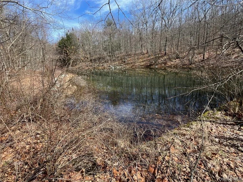 2215 Greenville Turnpike, Deerpark, NY, 2 Bedrooms Bedrooms, 10 Rooms Rooms,3 BathroomsBathrooms,Residential,For Rent,Greenville,0,H6293486 2215 Greenville Turnpike, Deerpark, NY, 2 Bedrooms Bedrooms, 10 Rooms Rooms,3 BathroomsBathrooms,Residential,For Rent,Greenville,0,H6293486