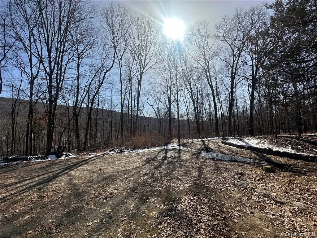 2215 Greenville Turnpike, Deerpark, NY, 2 Bedrooms Bedrooms, 10 Rooms Rooms,3 BathroomsBathrooms,Residential,For Rent,Greenville,0,H6293486 2215 Greenville Turnpike, Deerpark, NY, 2 Bedrooms Bedrooms, 10 Rooms Rooms,3 BathroomsBathrooms,Residential,For Rent,Greenville,0,H6293486