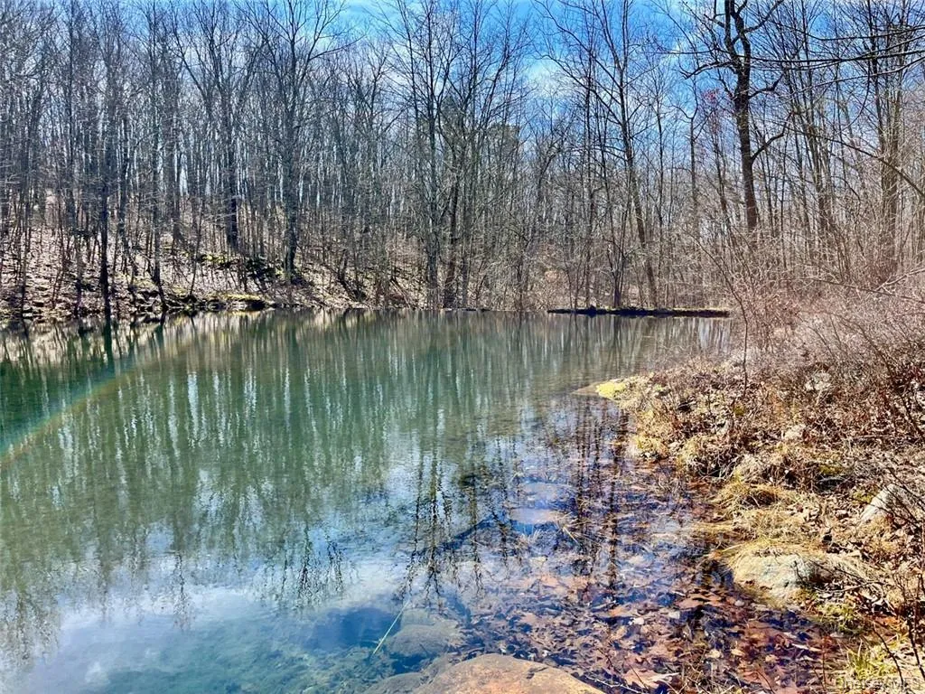2215 Greenville Turnpike, Deerpark, NY, 2 Bedrooms Bedrooms, 10 Rooms Rooms,3 BathroomsBathrooms,Residential,For Rent,Greenville,0,H6293486 2215 Greenville Turnpike, Deerpark, NY, 2 Bedrooms Bedrooms, 10 Rooms Rooms,3 BathroomsBathrooms,Residential,For Rent,Greenville,0,H6293486