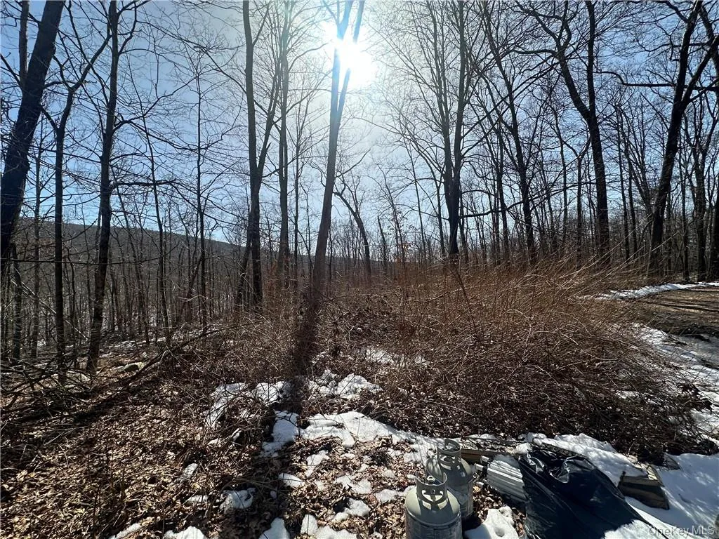 2215 Greenville Turnpike, Deerpark, NY, 2 Bedrooms Bedrooms, 10 Rooms Rooms,3 BathroomsBathrooms,Residential,For Rent,Greenville,0,H6293486 2215 Greenville Turnpike, Deerpark, NY, 2 Bedrooms Bedrooms, 10 Rooms Rooms,3 BathroomsBathrooms,Residential,For Rent,Greenville,0,H6293486