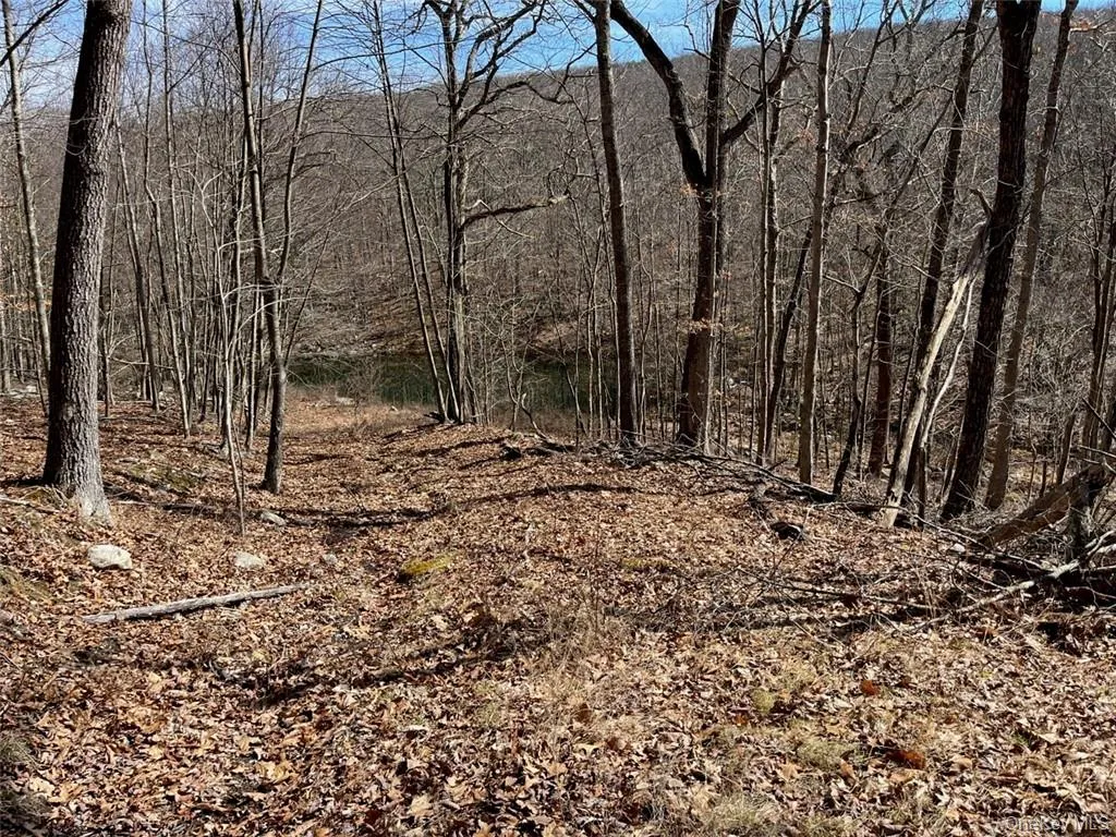 2215 Greenville Turnpike, Deerpark, NY, 2 Bedrooms Bedrooms, 10 Rooms Rooms,3 BathroomsBathrooms,Residential,For Rent,Greenville,0,H6293486 2215 Greenville Turnpike, Deerpark, NY, 2 Bedrooms Bedrooms, 10 Rooms Rooms,3 BathroomsBathrooms,Residential,For Rent,Greenville,0,H6293486