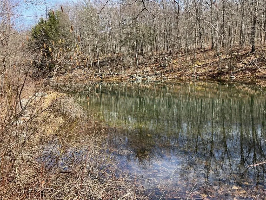 2215 Greenville Turnpike, Deerpark, NY, 2 Bedrooms Bedrooms, 10 Rooms Rooms,3 BathroomsBathrooms,Residential,For Rent,Greenville,0,H6293486 2215 Greenville Turnpike, Deerpark, NY, 2 Bedrooms Bedrooms, 10 Rooms Rooms,3 BathroomsBathrooms,Residential,For Rent,Greenville,0,H6293486