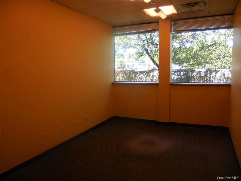 Empty room featuring a paneled ceiling and carpet flooring Empty room featuring a paneled ceiling and carpet flooring