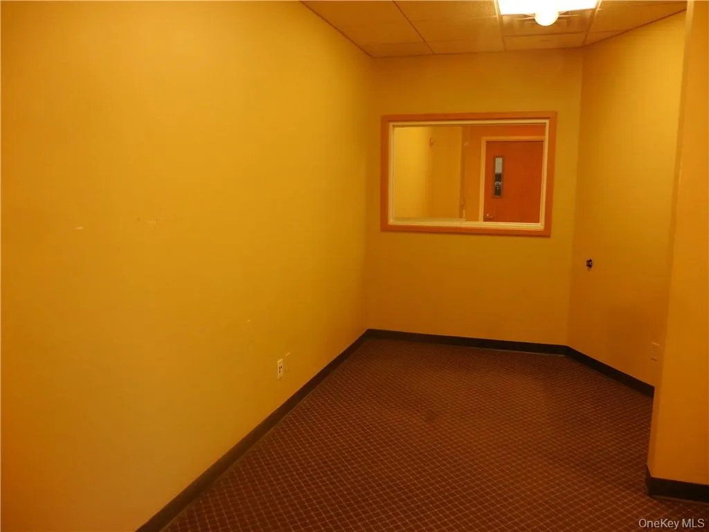 Spare room featuring a drop ceiling and carpet Spare room featuring a drop ceiling and carpet