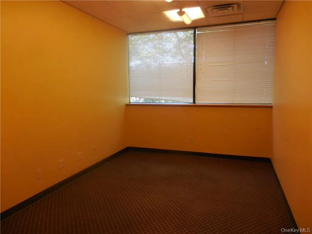 Carpeted spare room featuring a drop ceiling Carpeted spare room featuring a drop ceiling