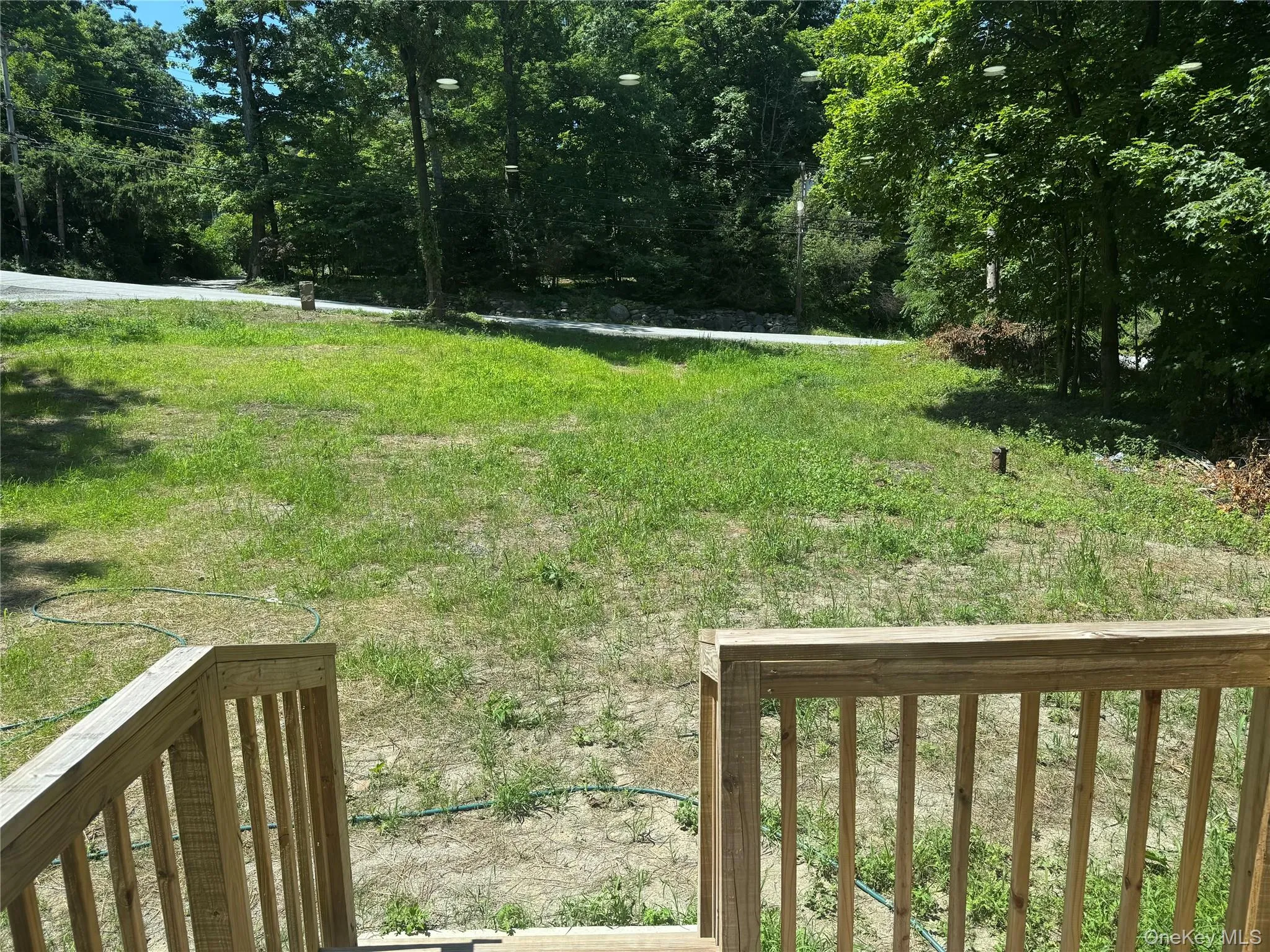 View from the Deck View from the Deck