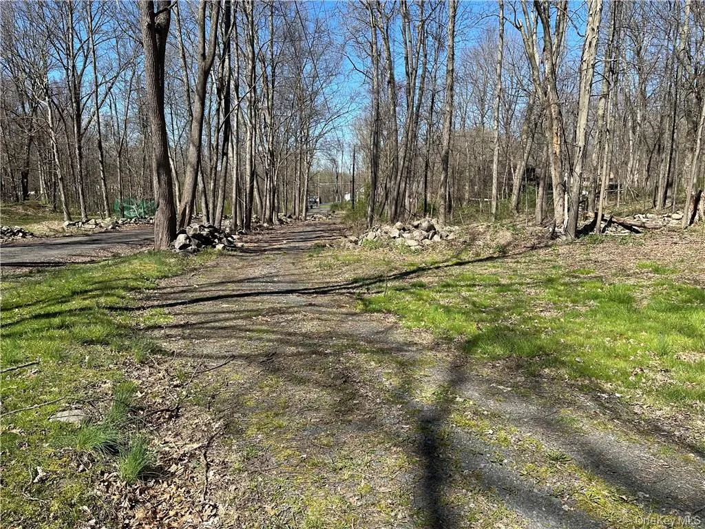 Driveway leading to the property Driveway leading to the property