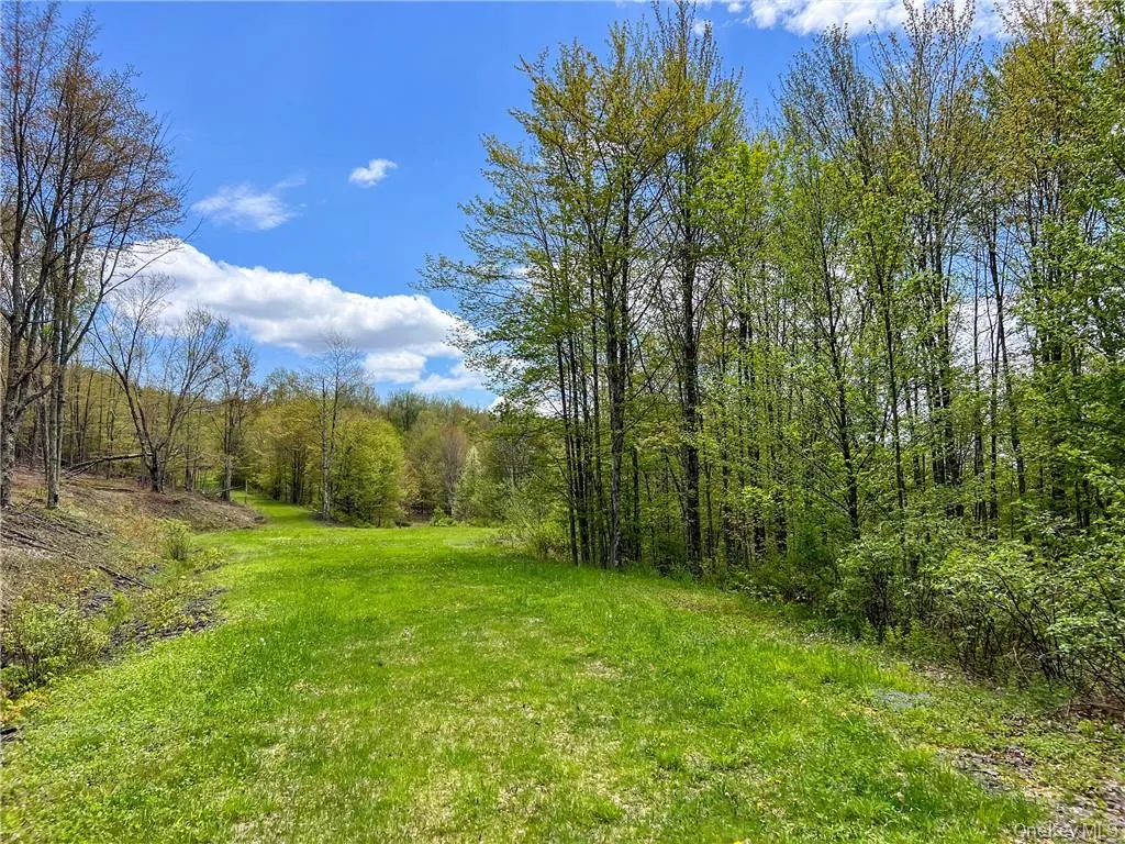 0 Rt-28, Andes, NY, ,Land,For Rent,Rt-28,0,H6309191 0 Rt-28, Andes, NY, ,Land,For Rent,Rt-28,0,H6309191