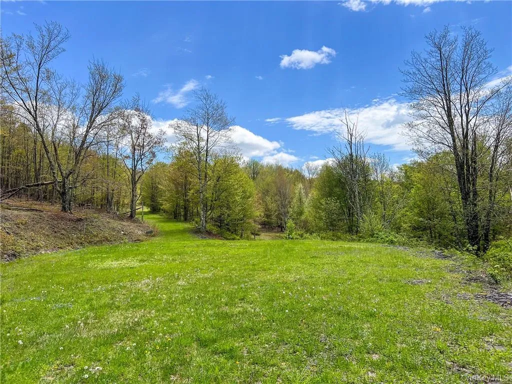 0 Rt-28, Andes, NY, ,Land,For Rent,Rt-28,0,H6309191 0 Rt-28, Andes, NY, ,Land,For Rent,Rt-28,0,H6309191