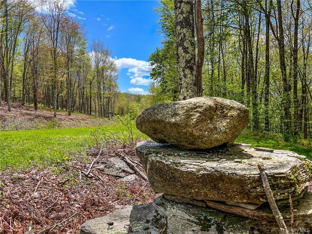 0 Rt-28, Andes, NY, ,Land,For Rent,Rt-28,0,H6309191 0 Rt-28, Andes, NY, ,Land,For Rent,Rt-28,0,H6309191