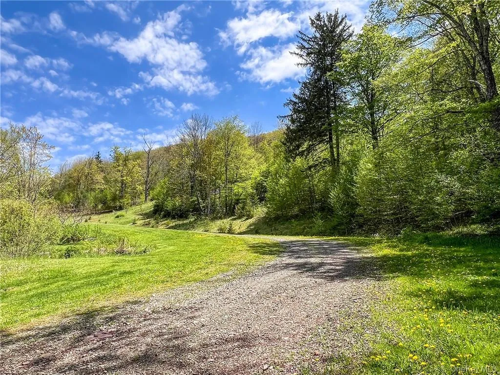 0 Rt-28, Andes, NY, ,Land,For Rent,Rt-28,0,H6309191 0 Rt-28, Andes, NY, ,Land,For Rent,Rt-28,0,H6309191