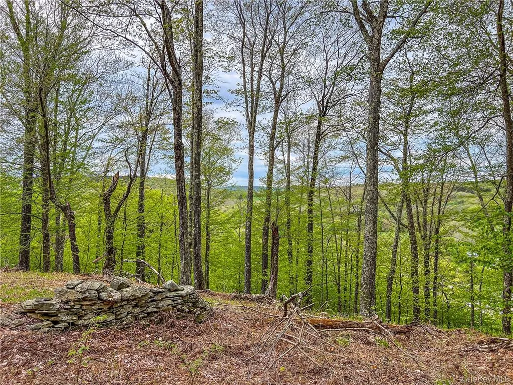 0 Rt-28, Andes, NY, ,Land,For Rent,Rt-28,0,H6309191 0 Rt-28, Andes, NY, ,Land,For Rent,Rt-28,0,H6309191