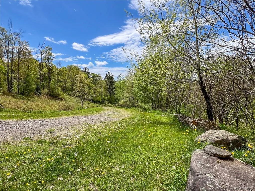 0 Rt-28, Andes, NY, ,Land,For Rent,Rt-28,0,H6309191 0 Rt-28, Andes, NY, ,Land,For Rent,Rt-28,0,H6309191