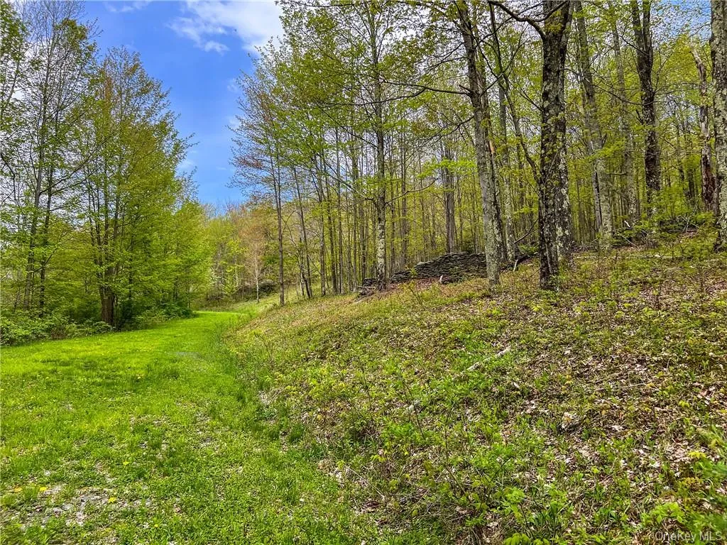 0 Rt-28, Andes, NY, ,Land,For Rent,Rt-28,0,H6309191 0 Rt-28, Andes, NY, ,Land,For Rent,Rt-28,0,H6309191