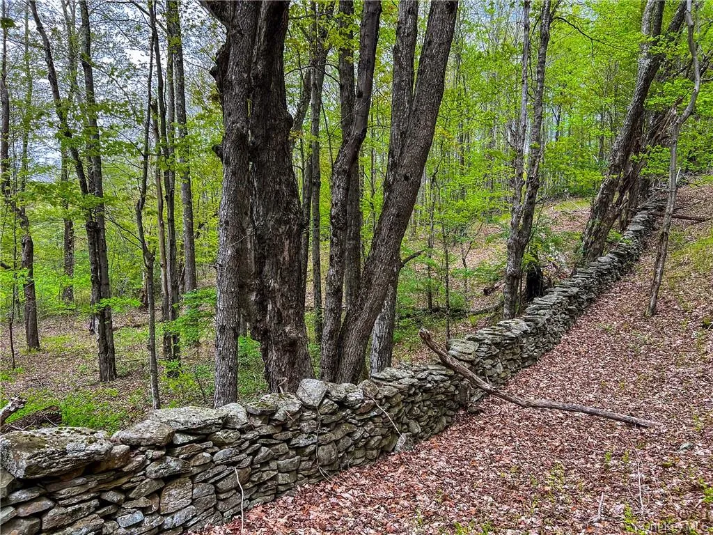 0 Rt-28, Andes, NY, ,Land,For Rent,Rt-28,0,H6309191 0 Rt-28, Andes, NY, ,Land,For Rent,Rt-28,0,H6309191