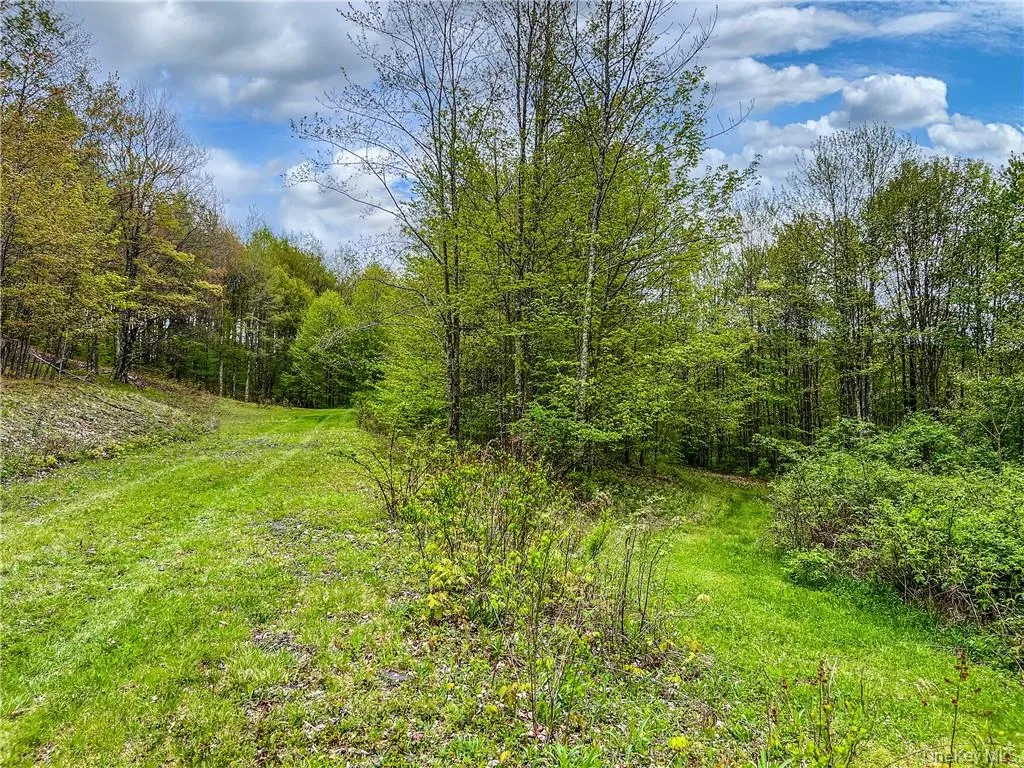 0 Rt-28, Andes, NY, ,Land,For Rent,Rt-28,0,H6309191 0 Rt-28, Andes, NY, ,Land,For Rent,Rt-28,0,H6309191