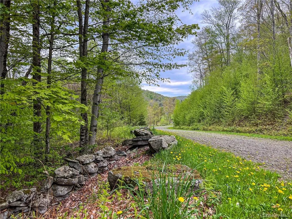 0 Rt-28, Andes, NY, ,Land,For Rent,Rt-28,0,H6309191 0 Rt-28, Andes, NY, ,Land,For Rent,Rt-28,0,H6309191