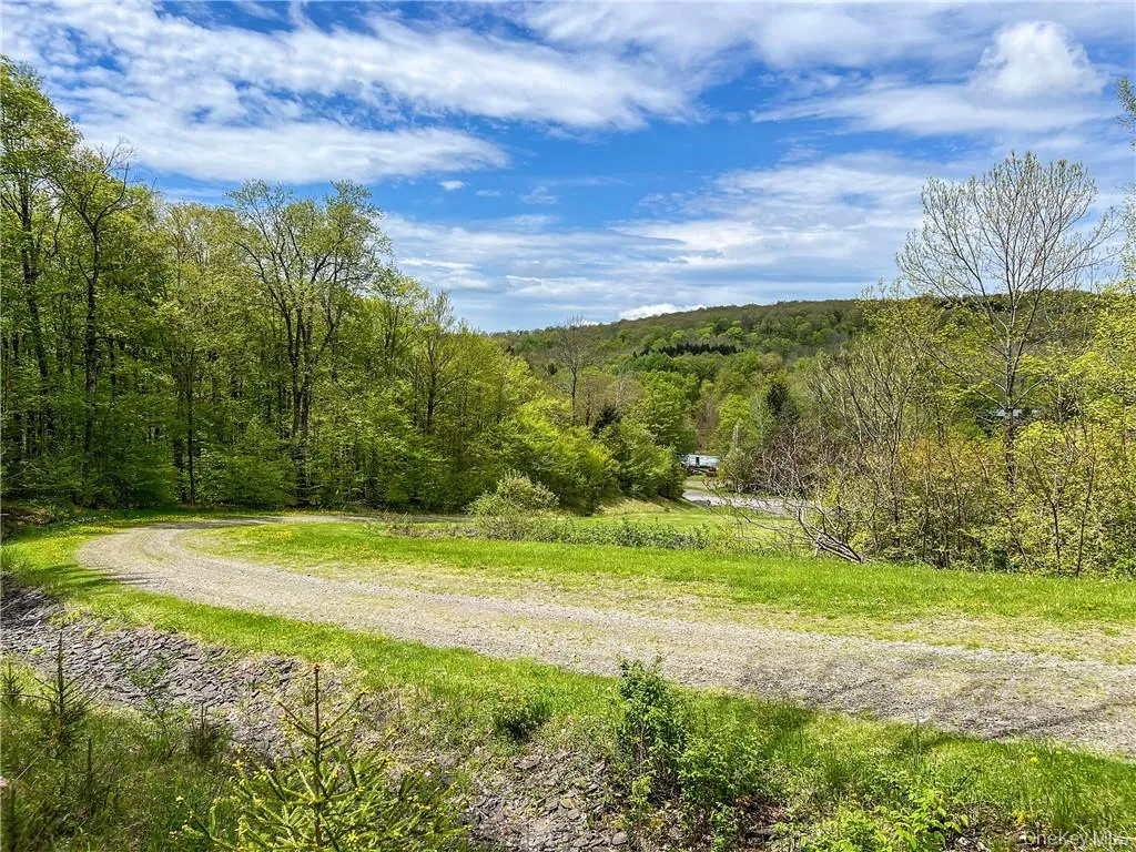 0 Rt-28, Andes, NY, ,Land,For Rent,Rt-28,0,H6309191 0 Rt-28, Andes, NY, ,Land,For Rent,Rt-28,0,H6309191