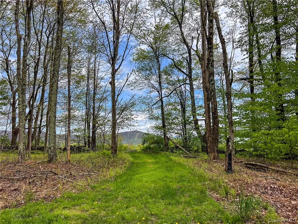 0 Rt-28, Andes, NY, ,Land,For Rent,Rt-28,0,H6309191 0 Rt-28, Andes, NY, ,Land,For Rent,Rt-28,0,H6309191