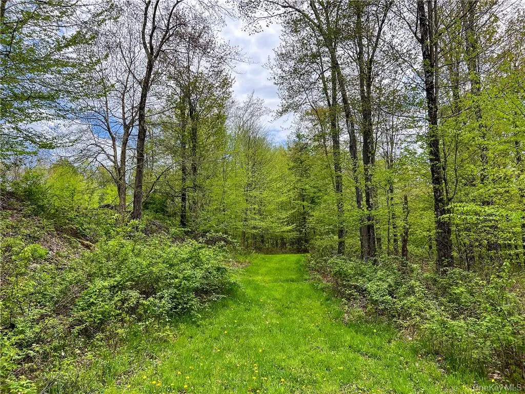 0 Rt-28, Andes, NY, ,Land,For Rent,Rt-28,0,H6309191 0 Rt-28, Andes, NY, ,Land,For Rent,Rt-28,0,H6309191