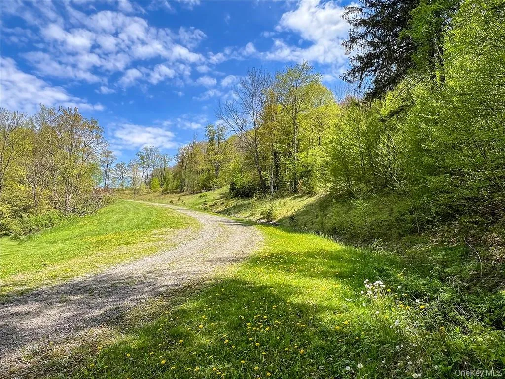 0 Rt-28, Andes, NY, ,Land,For Rent,Rt-28,0,H6309191 0 Rt-28, Andes, NY, ,Land,For Rent,Rt-28,0,H6309191