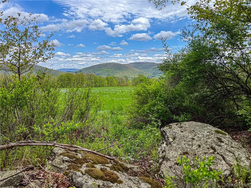 0 Rt-28, Andes, NY, ,Land,For Rent,Rt-28,0,H6309191 0 Rt-28, Andes, NY, ,Land,For Rent,Rt-28,0,H6309191