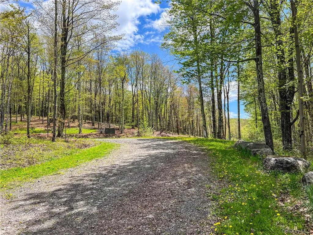 0 Rt-28, Andes, NY, ,Land,For Rent,Rt-28,0,H6309191 0 Rt-28, Andes, NY, ,Land,For Rent,Rt-28,0,H6309191