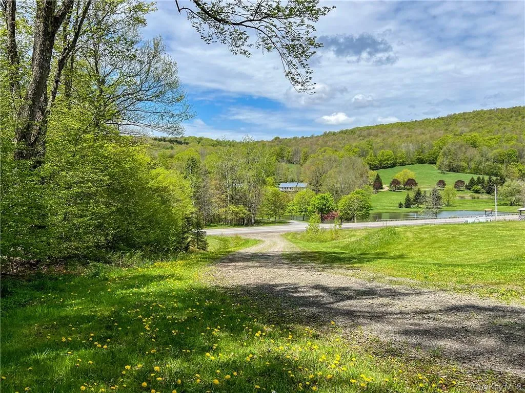 0 Rt-28, Andes, NY, ,Land,For Rent,Rt-28,0,H6309191 0 Rt-28, Andes, NY, ,Land,For Rent,Rt-28,0,H6309191