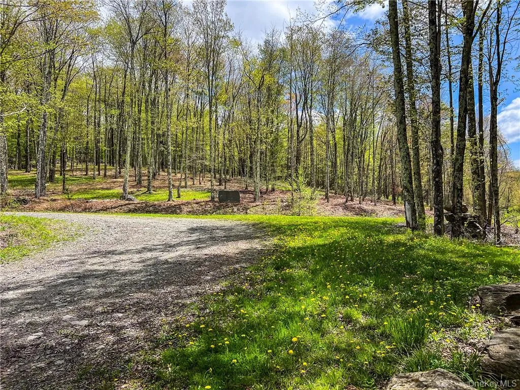 0 Rt-28, Andes, NY, ,Land,For Rent,Rt-28,0,H6309191 0 Rt-28, Andes, NY, ,Land,For Rent,Rt-28,0,H6309191