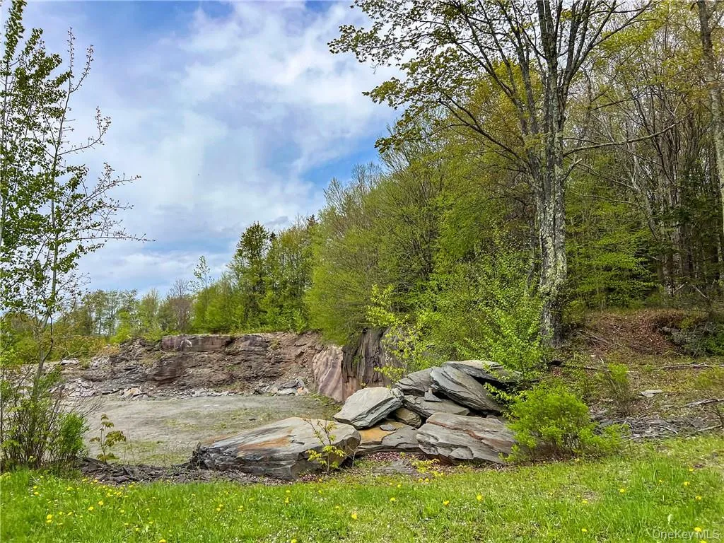 0 Rt-28, Andes, NY, ,Land,For Rent,Rt-28,0,H6309191 0 Rt-28, Andes, NY, ,Land,For Rent,Rt-28,0,H6309191