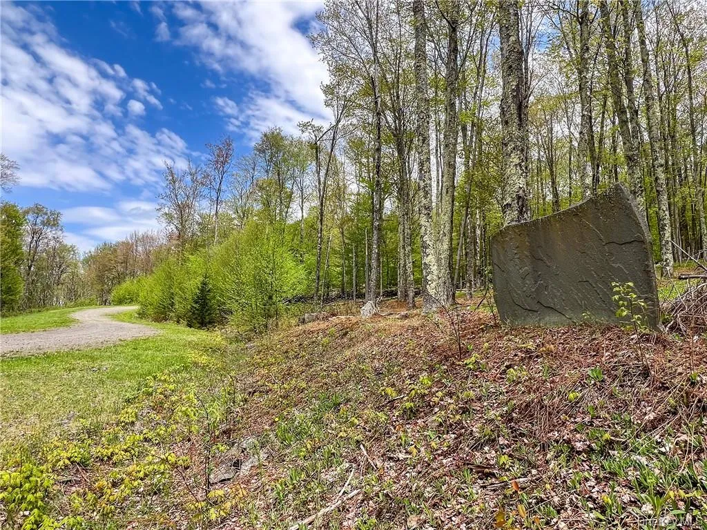 0 Rt-28, Andes, NY, ,Land,For Rent,Rt-28,0,H6309191 0 Rt-28, Andes, NY, ,Land,For Rent,Rt-28,0,H6309191