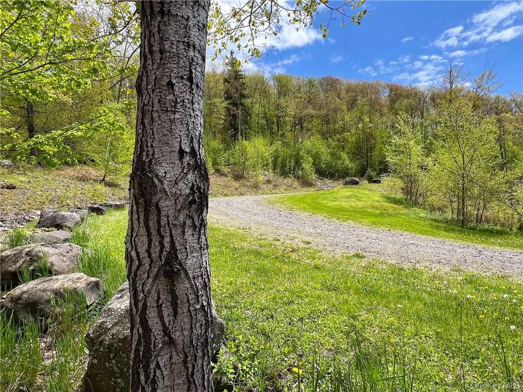 0 Rt-28, Andes, NY, ,Land,For Rent,Rt-28,0,H6309191 0 Rt-28, Andes, NY, ,Land,For Rent,Rt-28,0,H6309191