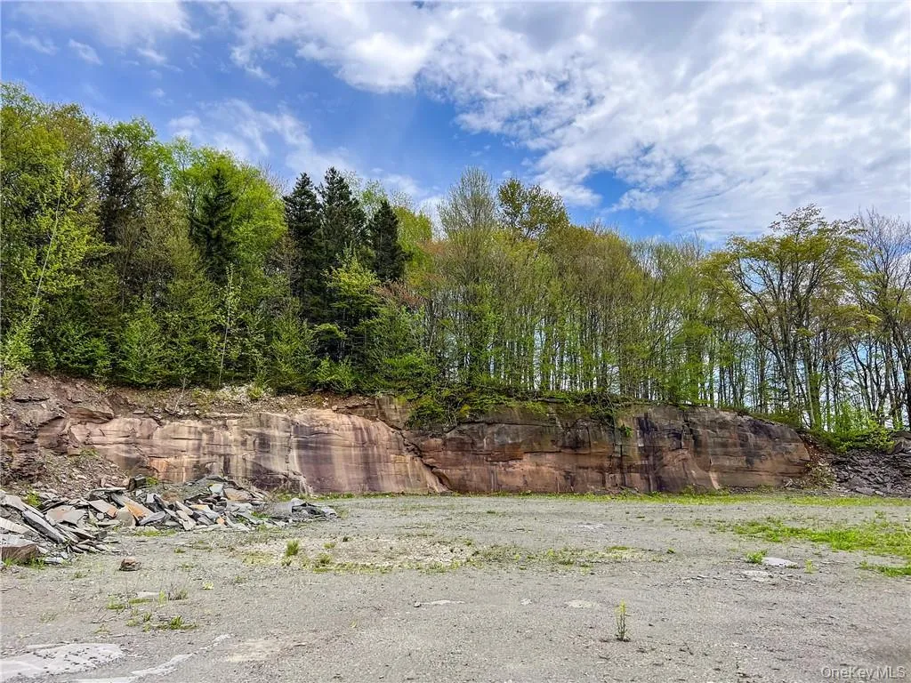0 Rt-28, Andes, NY, ,Land,For Rent,Rt-28,0,H6309191 0 Rt-28, Andes, NY, ,Land,For Rent,Rt-28,0,H6309191