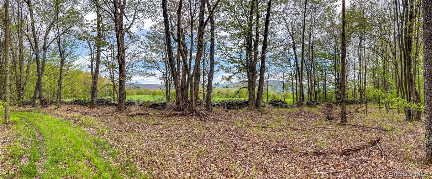 0 Rt-28, Andes, NY, ,Land,For Rent,Rt-28,0,H6309191 0 Rt-28, Andes, NY, ,Land,For Rent,Rt-28,0,H6309191