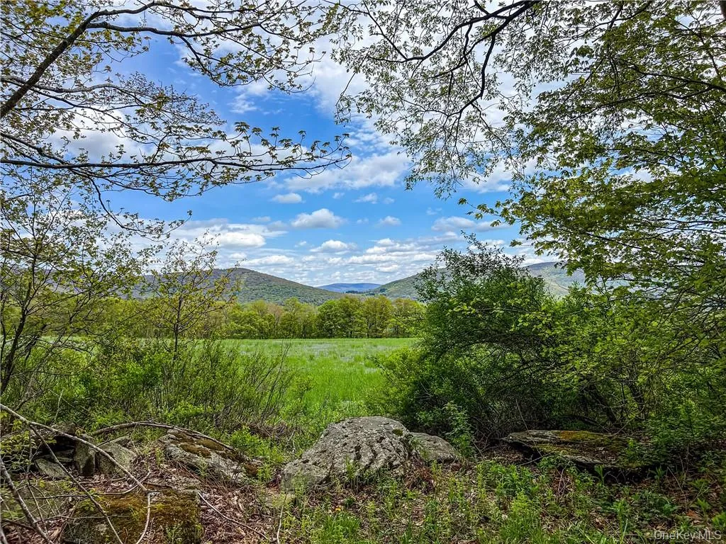 0 Rt-28, Andes, NY, ,Land,For Rent,Rt-28,0,H6309191 0 Rt-28, Andes, NY, ,Land,For Rent,Rt-28,0,H6309191