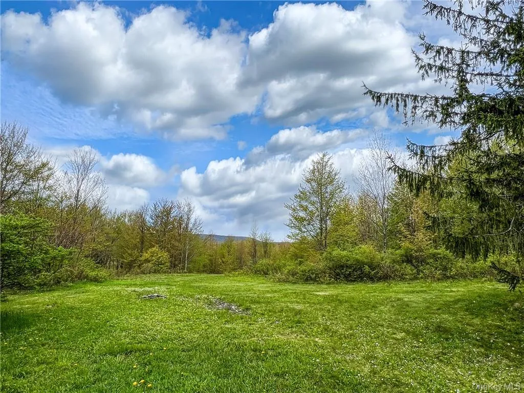 0 Rt-28, Andes, NY, ,Land,For Rent,Rt-28,0,H6309191 0 Rt-28, Andes, NY, ,Land,For Rent,Rt-28,0,H6309191