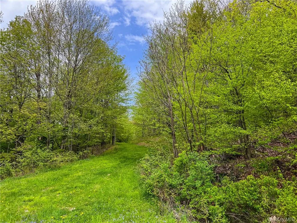 0 Rt-28, Andes, NY, ,Land,For Rent,Rt-28,0,H6309191 0 Rt-28, Andes, NY, ,Land,For Rent,Rt-28,0,H6309191