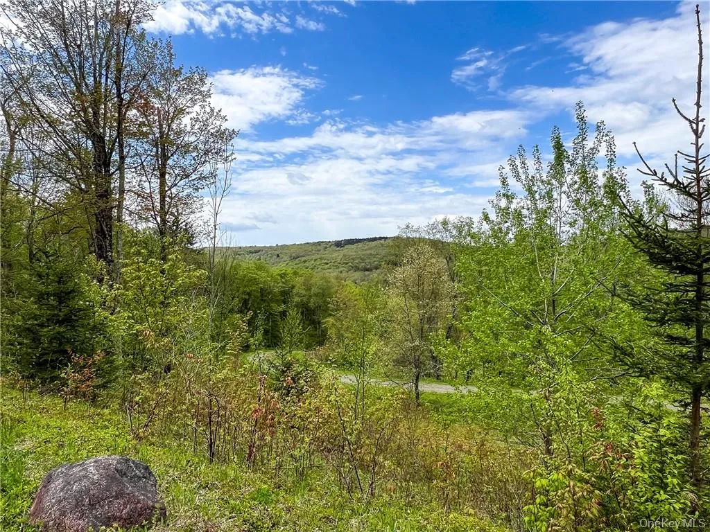0 Rt-28, Andes, NY, ,Land,For Rent,Rt-28,0,H6309191 0 Rt-28, Andes, NY, ,Land,For Rent,Rt-28,0,H6309191