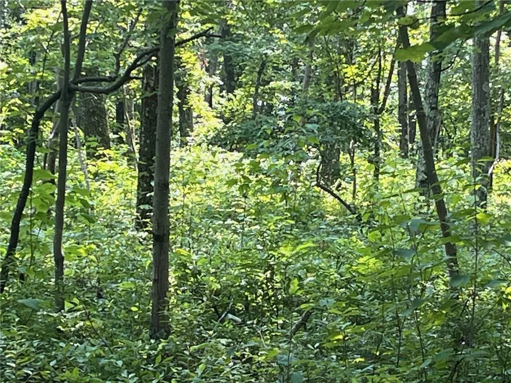 View of nature View of nature