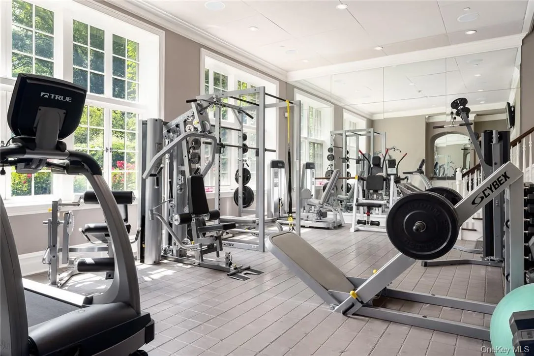 Dedicated Gym Dedicated Gym