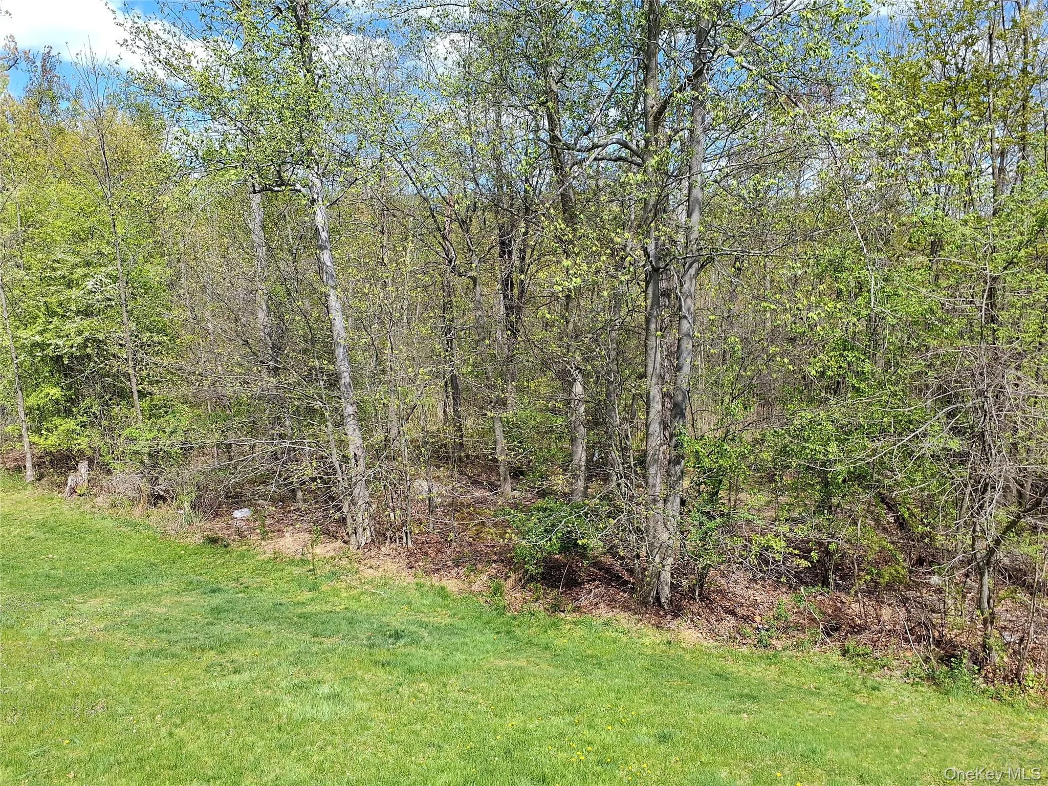 9 Aron Court, Ramapo, NY, 4 Bedrooms Bedrooms, 9 Rooms Rooms,3 BathroomsBathrooms,Residential Sale,For Rent,Aron,0,H6315100 9 Aron Court, Ramapo, NY, 4 Bedrooms Bedrooms, 9 Rooms Rooms,3 BathroomsBathrooms,Residential Sale,For Rent,Aron,0,H6315100